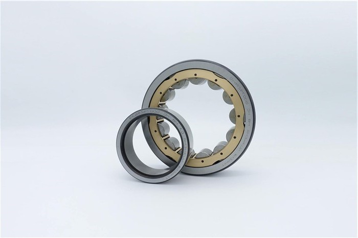 skf 6307 znr bearing