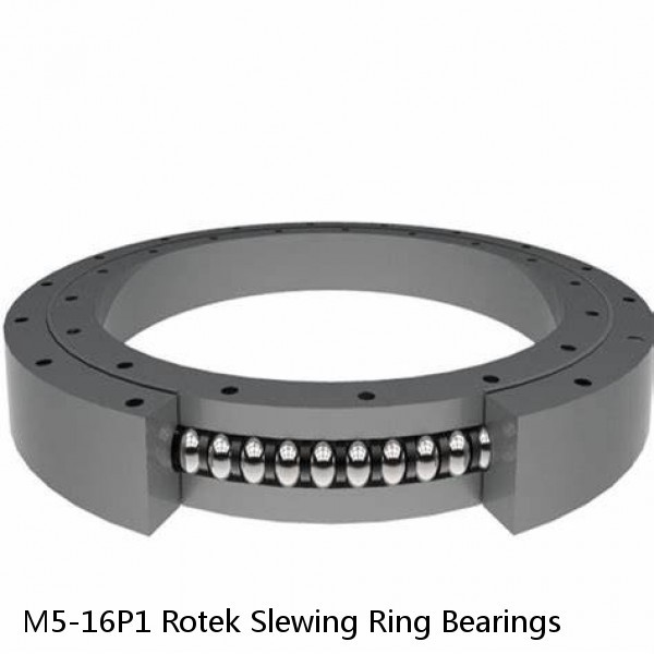 M5-16P1 Rotek Slewing Ring Bearings