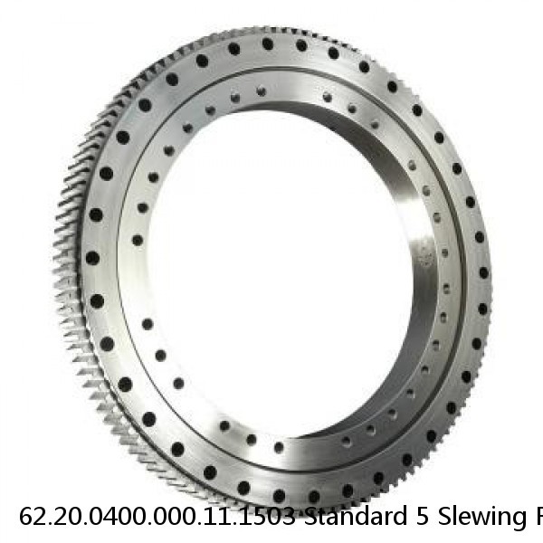 62.20.0400.000.11.1503 Standard 5 Slewing Ring Bearings