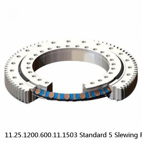 11.25.1200.600.11.1503 Standard 5 Slewing Ring Bearings