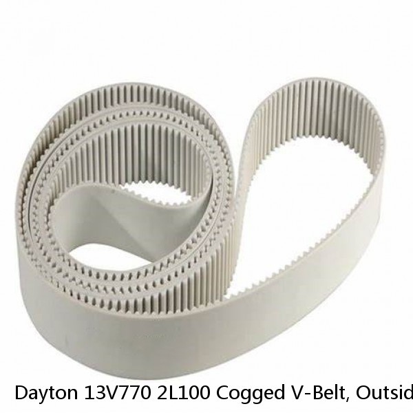 Dayton 13V770 2L100 Cogged V-Belt, Outside Length 10