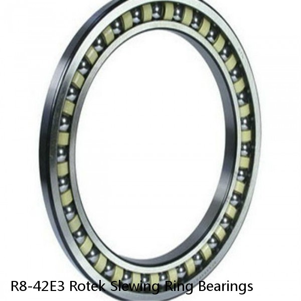 R8-42E3 Rotek Slewing Ring Bearings