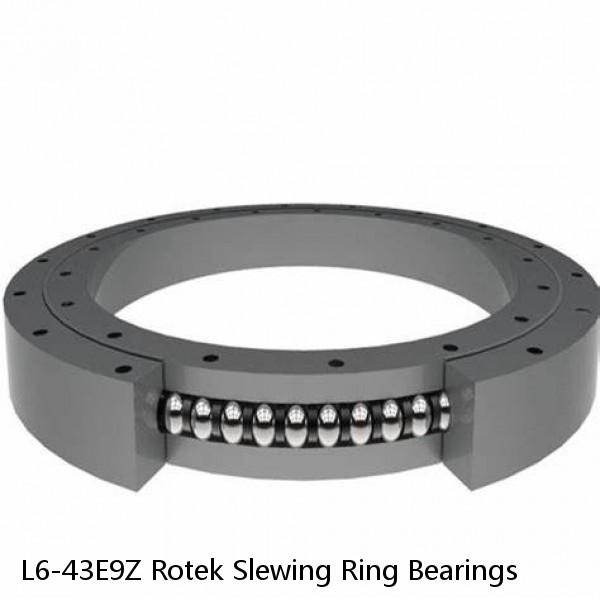 L6-43E9Z Rotek Slewing Ring Bearings