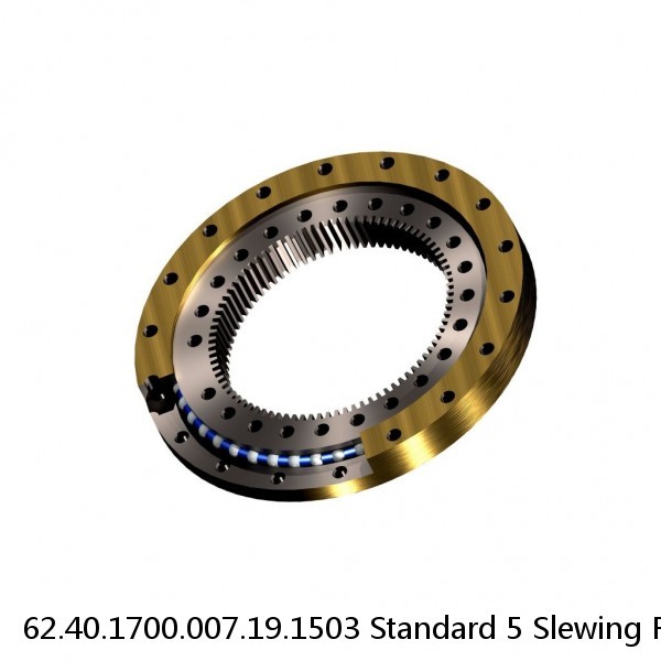 62.40.1700.007.19.1503 Standard 5 Slewing Ring Bearings