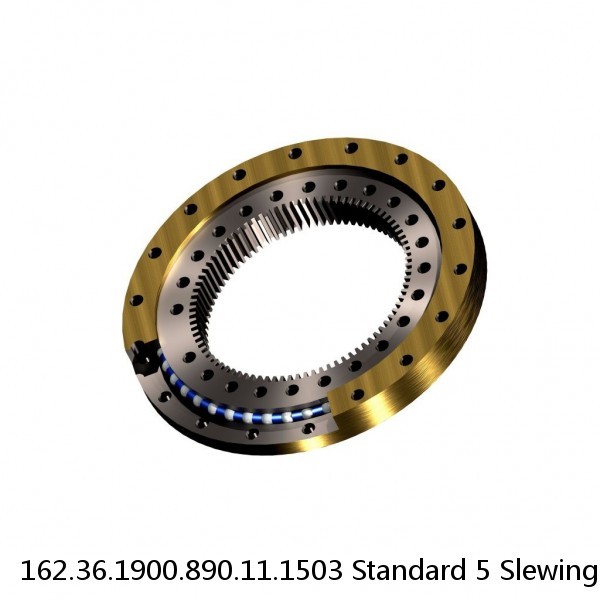 162.36.1900.890.11.1503 Standard 5 Slewing Ring Bearings