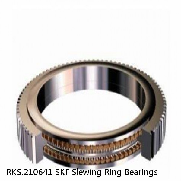 RKS.210641 SKF Slewing Ring Bearings #1 small image