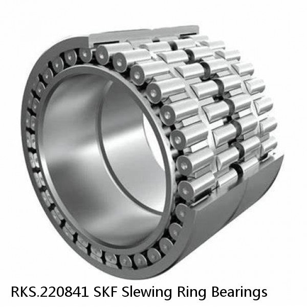 RKS.220841 SKF Slewing Ring Bearings #1 small image