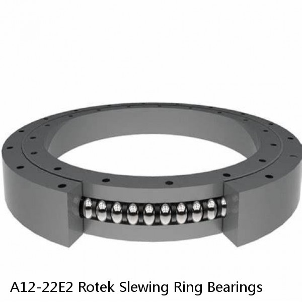 A12-22E2 Rotek Slewing Ring Bearings