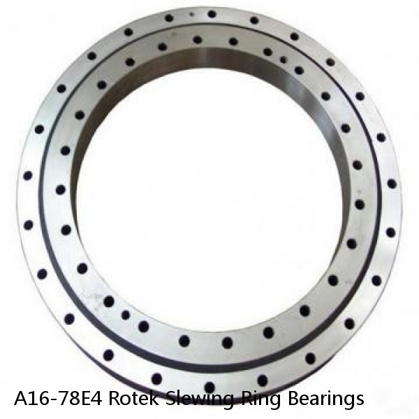 A16-78E4 Rotek Slewing Ring Bearings