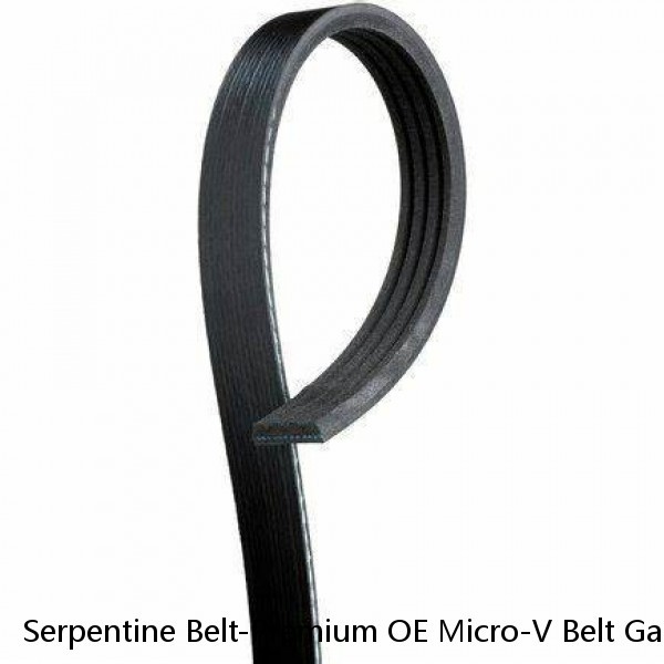Serpentine Belt-Premium OE Micro-V Belt Gates K060790 #1 small image