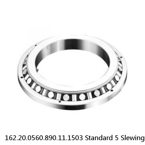 162.20.0560.890.11.1503 Standard 5 Slewing Ring Bearings #1 image