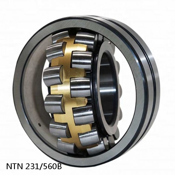 231/560B NTN Spherical Roller Bearings #1 image