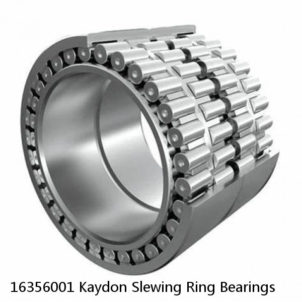 16356001 Kaydon Slewing Ring Bearings #1 image