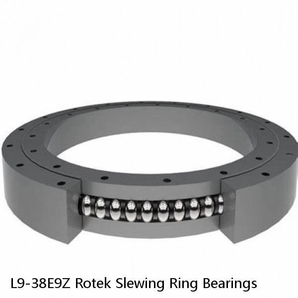 L9-38E9Z Rotek Slewing Ring Bearings #1 image