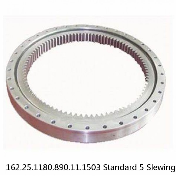 162.25.1180.890.11.1503 Standard 5 Slewing Ring Bearings #1 image