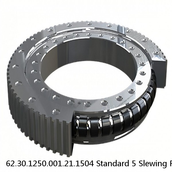 62.30.1250.001.21.1504 Standard 5 Slewing Ring Bearings #1 image