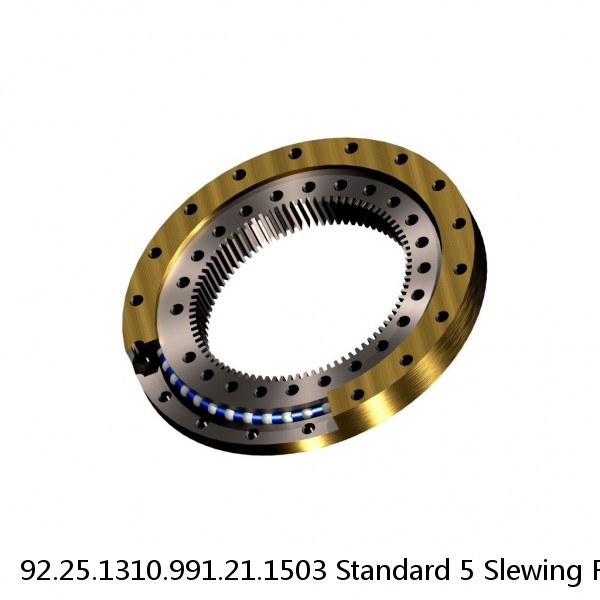 92.25.1310.991.21.1503 Standard 5 Slewing Ring Bearings #1 image