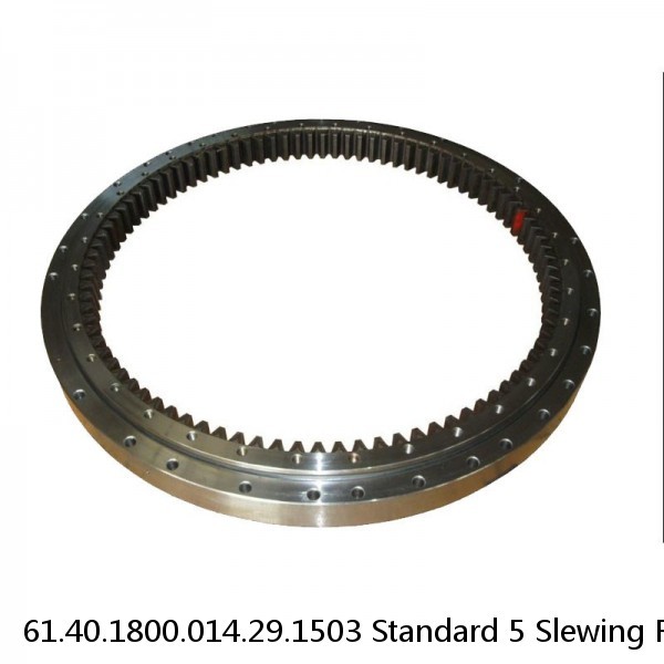 61.40.1800.014.29.1503 Standard 5 Slewing Ring Bearings #1 image