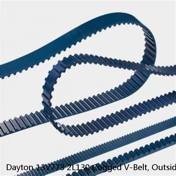 Dayton 13V773 2L130 Cogged V-Belt, Outside Length 13" #1 image