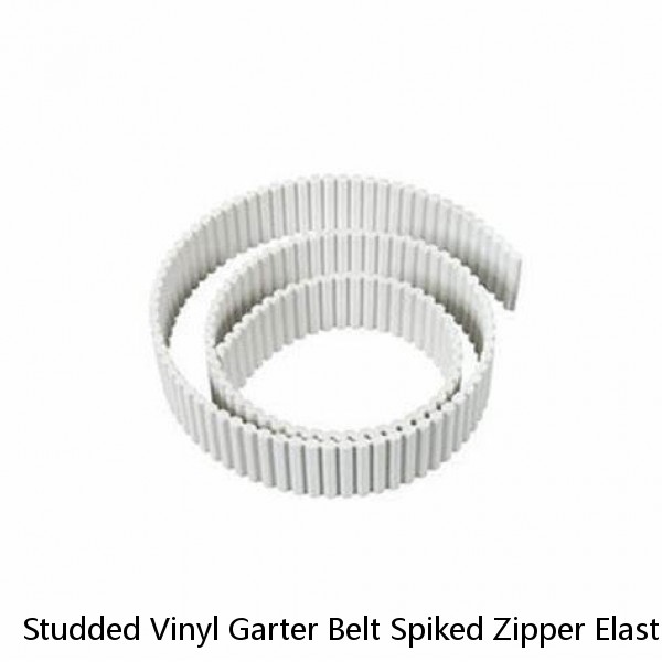 Studded Vinyl Garter Belt Spiked Zipper Elastic Adjustable Lingerie Black V9795 #1 image
